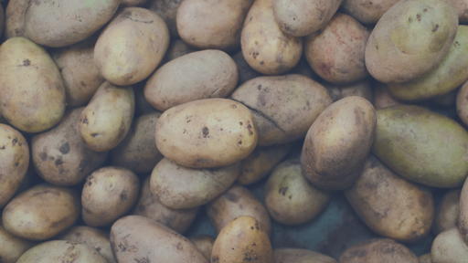 ABU | Potato - Kentang