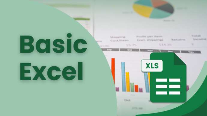 Technical Skill : Basic Excel