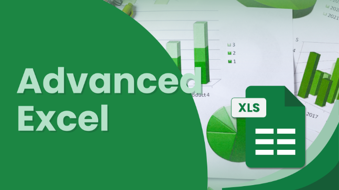 TECHNICAL SKILL: ADVANCED EXCEL